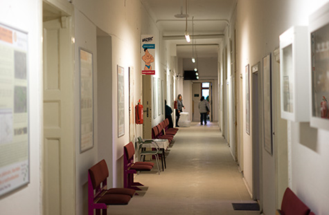 Mendelova univerzita